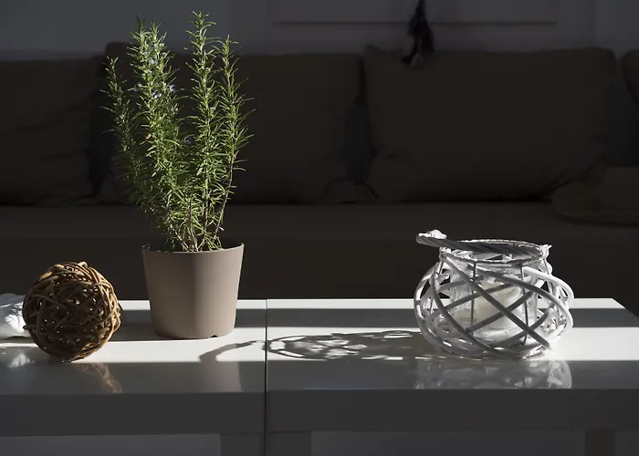 Hotel Cleopatra Seaside Homes Paros Piso Livadi